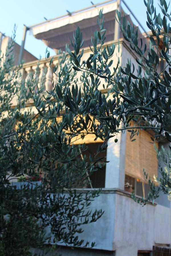Apartments & Rooms Tea Zadar Exterior photo